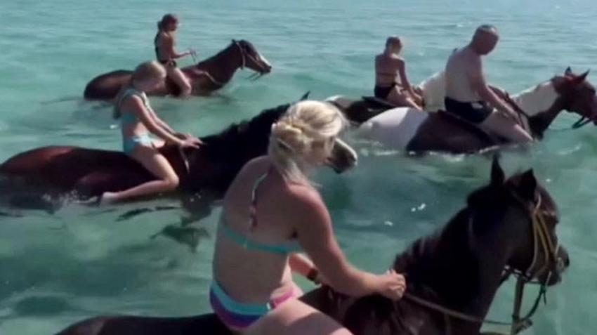 Antalya'da turizm cennetinde skandal etkinlik! Hayvanseverler ayağa kalktı