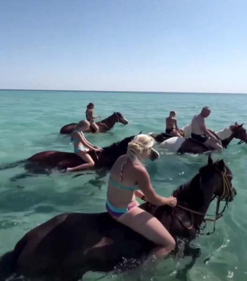 Antalya'da turizm cennetinde skandal etkinlik! Hayvanseverler ayağa kalktı