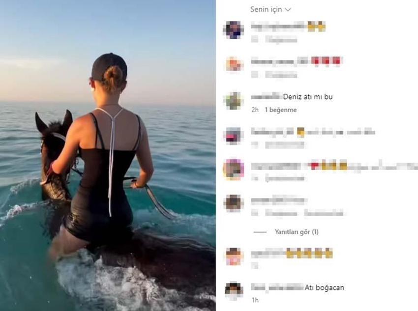 Antalya'da turizm cennetinde skandal etkinlik! Hayvanseverler ayağa kalktı