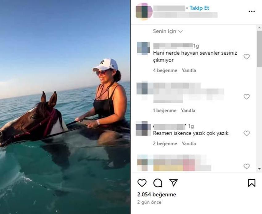 Antalya'da turizm cennetinde skandal etkinlik! Hayvanseverler ayağa kalktı