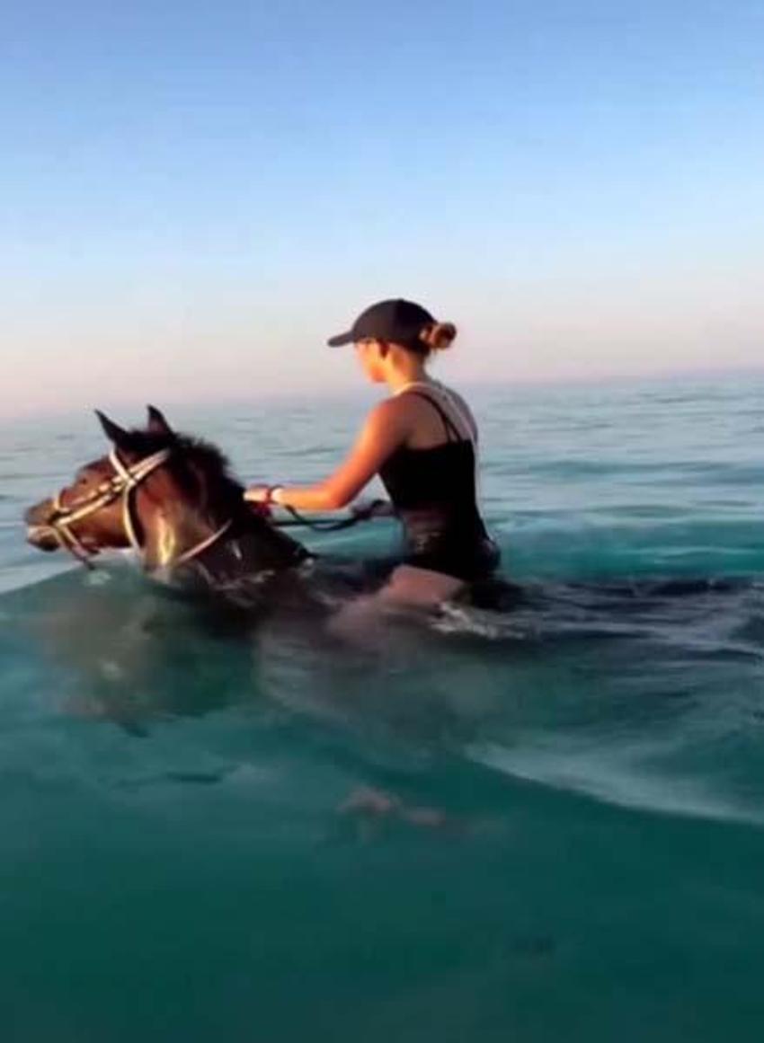 Antalya'da turizm cennetinde skandal etkinlik! Hayvanseverler ayağa kalktı