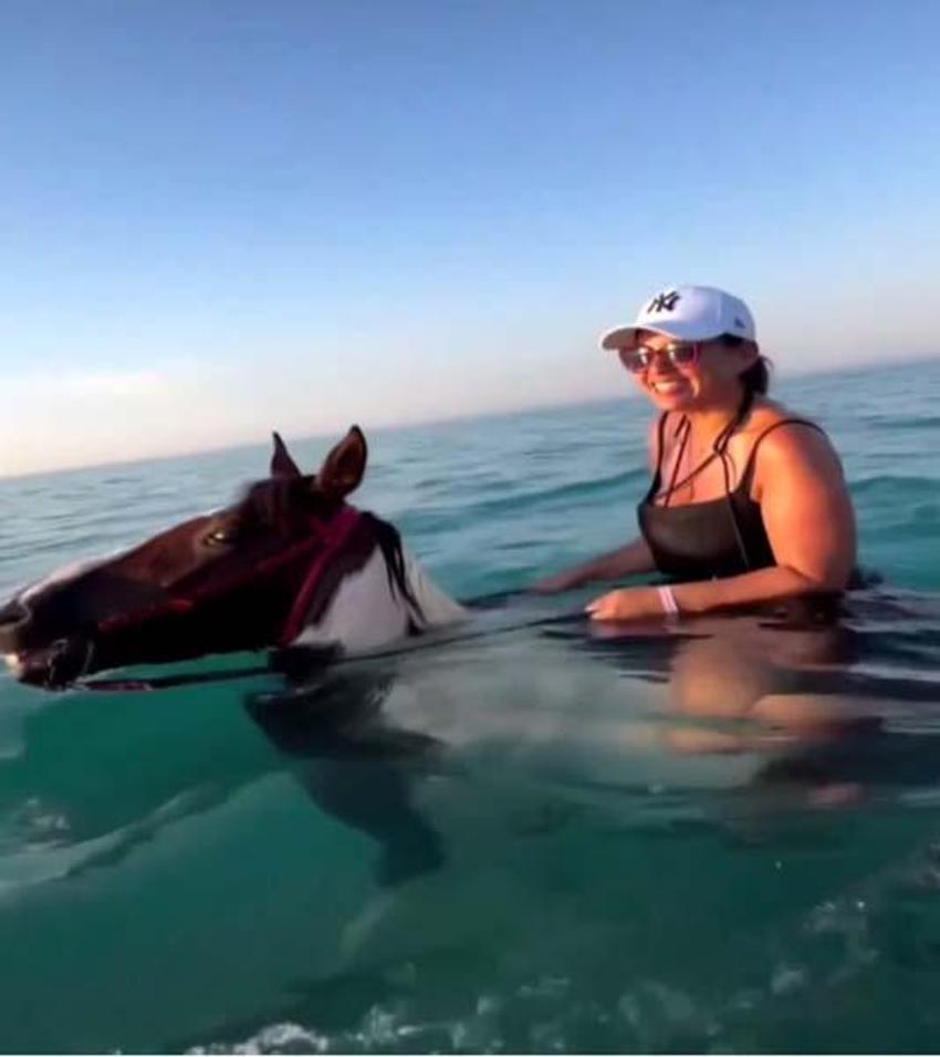 Antalya'da turizm cennetinde skandal etkinlik! Hayvanseverler ayağa kalktı