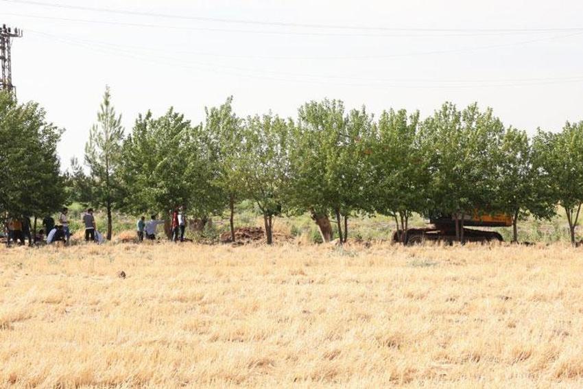 Narin Güran cinayetinde annenin ifadesi ortaya çıktı: Narin beni ve amcayı kesinlikle görmedi