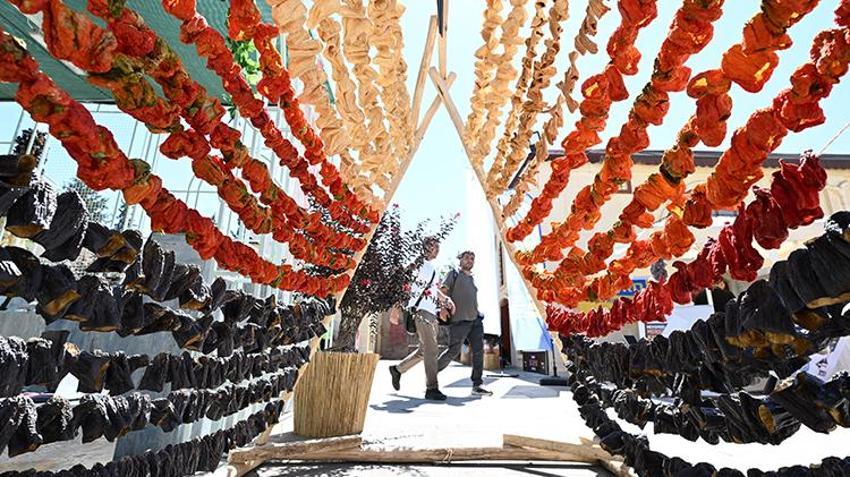 Gaziantep'te festival rüzgarı! GastroAntep dünyaya açıldı, binlerce kişi akın etti