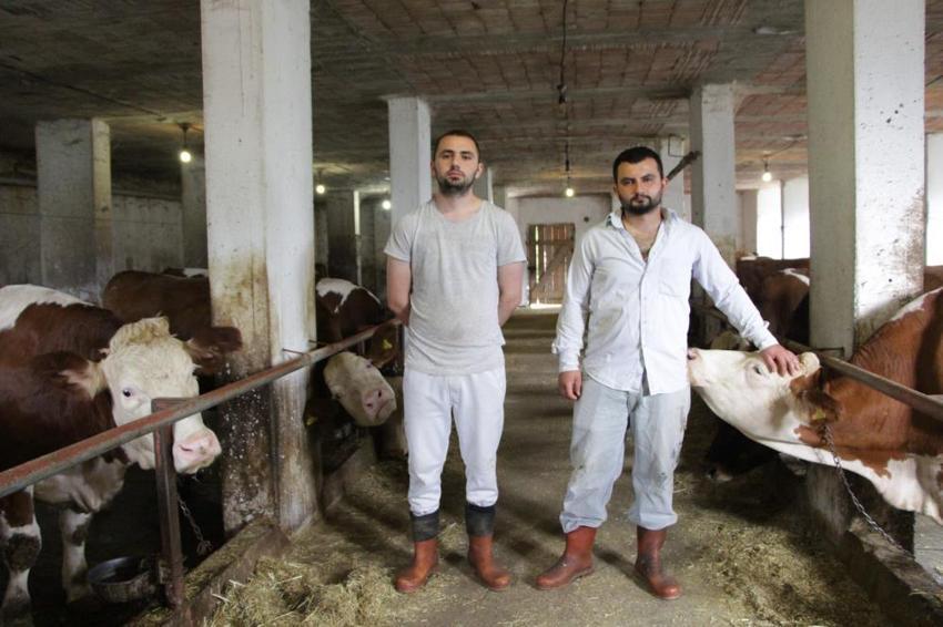 En yakın komşuları hayvanları oldu! Karadenizli çiftçi ineklerine inşa ettiği apartmanda bakıyor