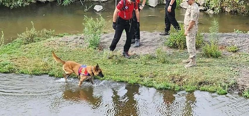Narin Güran'ın yengesi Hediye Güran'ın ifadesi ortaya çıktı! Tek tek her şeyi anlattı, tutuklama kararı verildi