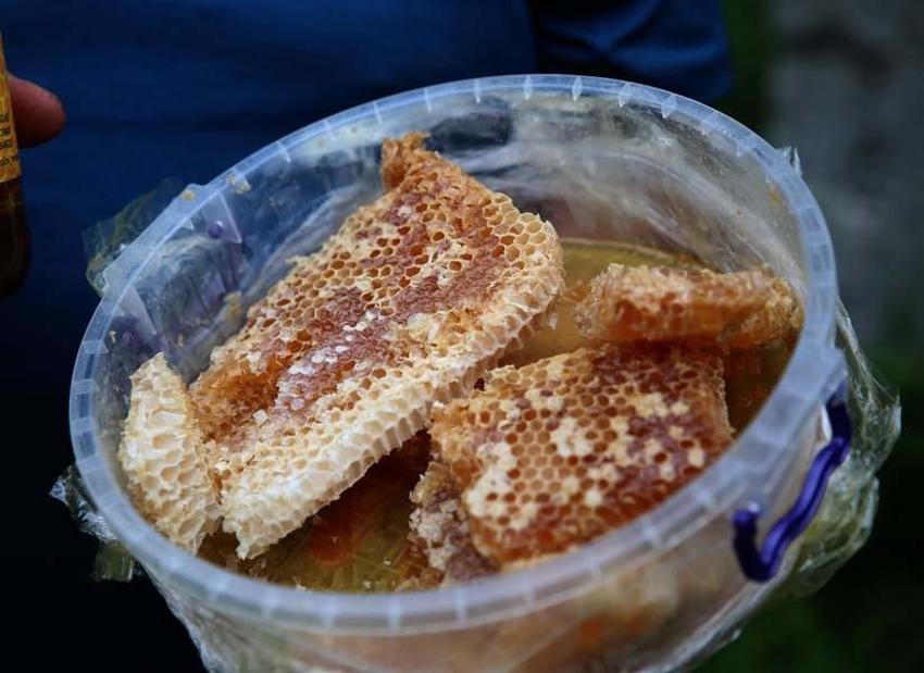 Hasat zamanı başladı, çok rağbet görüyor! Kilosu 3000 lira