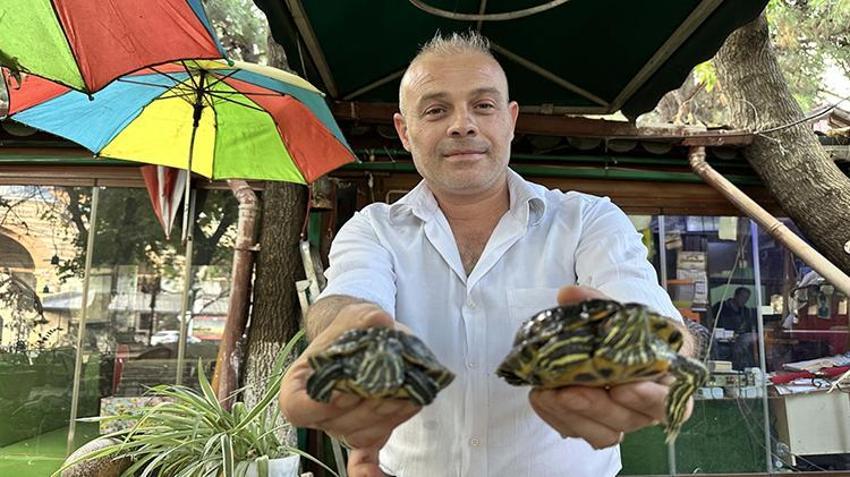 Müşterilerinin bakamadığı kaplumbağaları sahiplendi: 15 yıldır 18 kaplumbağaya gözü gibi bakıyor