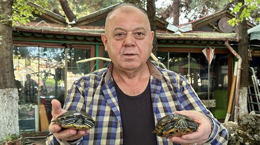 Müşterilerinin bakamadığı kaplumbağaları sahiplendi: 15 yıldır 18 kaplumbağaya gözü gibi bakıyor