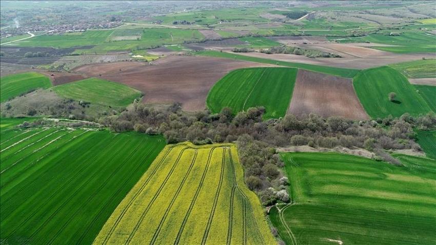 Yüzde 25 peşin, 48 ay vade! TOKİ'den uygun fiyatlı arsa fırsatı, İstanbul, Ankara ve İzmir dahil 25 ilde satış başladı