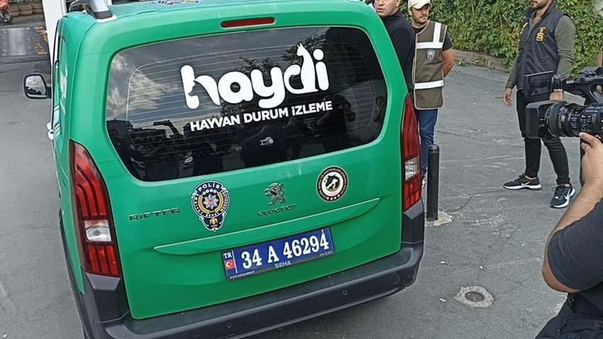 Suç makinesi, polis Şeyma Yılmaz'ı şehit etti! Karakoldan firar detayı dikkat çekti