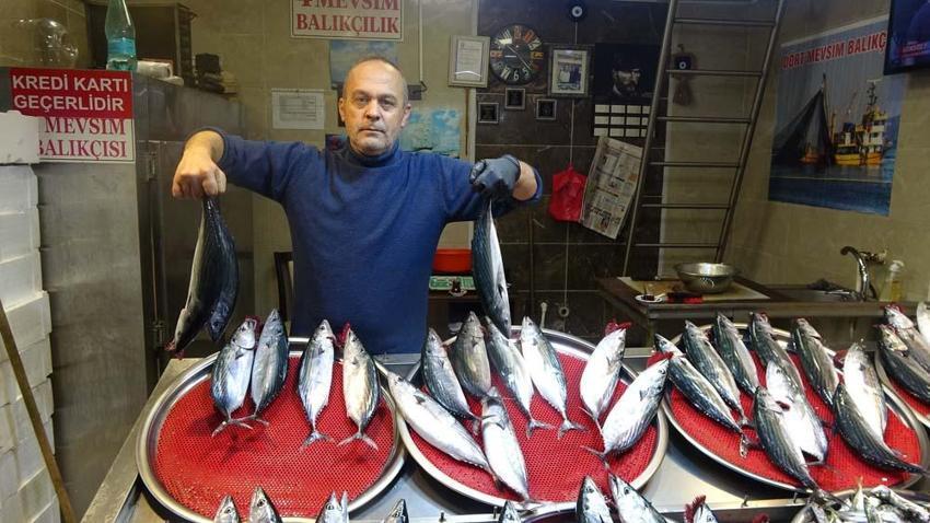 Trabzon'da palamutun avı azalıp avlanan palamutlar da irileştikçe fiyatı da arttı