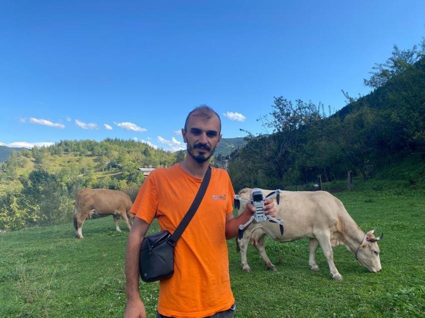 Teknoloji merakını mesleğiyle birleştirdi: Artvin'li çoban merada otlayan ineklerini dronla güdüyor!