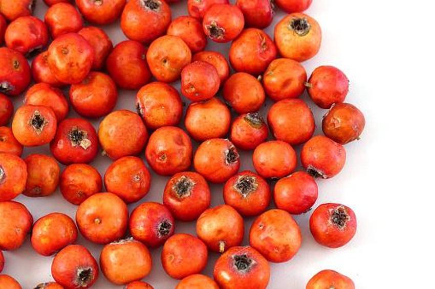 Sivas'ın dağlarında hiçbir müdahale olmadan kendiliğinden yetişiyor! Faydasını bilen arayıp buluyor, kilosu 200 TL'den kapış kapış gidiyor