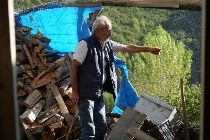 Köylüleri tedirgin eden olay! Ayılar musallat oldu: Bize bir çare bulun