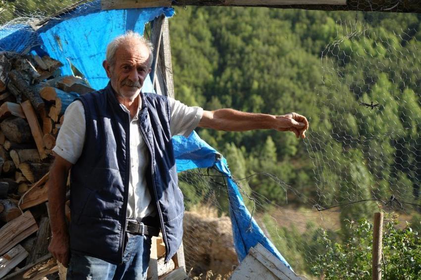 Köylüleri tedirgin eden olay! Ayılar musallat oldu: Bize bir çare bulun