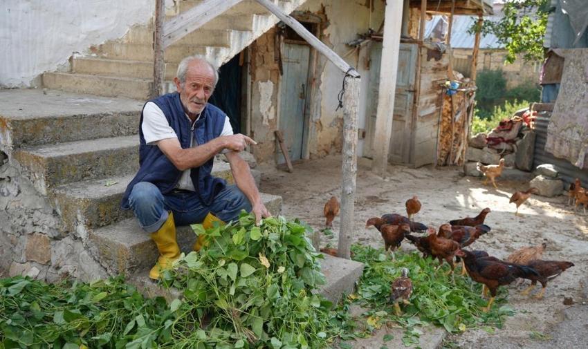 Köylüleri tedirgin eden olay! Ayılar musallat oldu: Bize bir çare bulun