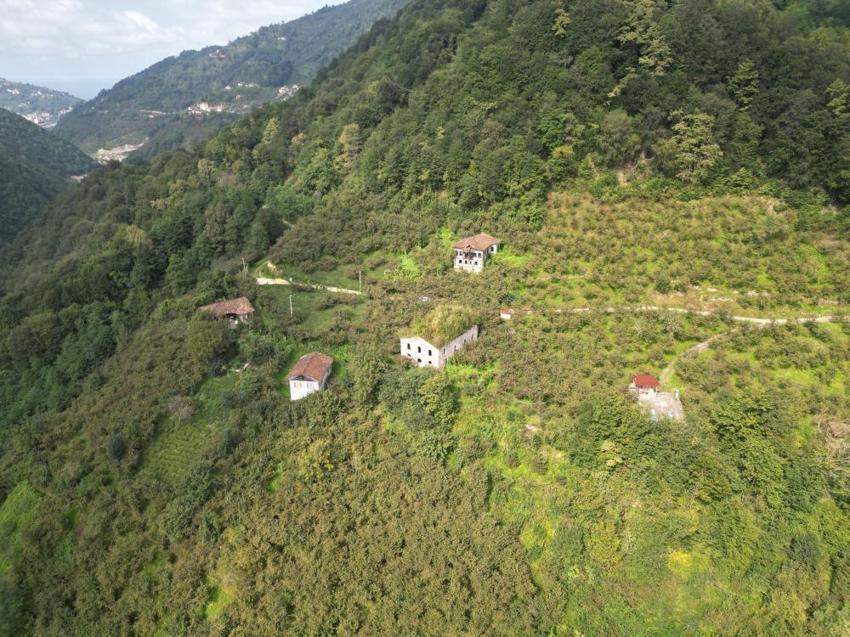 Trabzon'daki kiliselere defineci istilası: Kiliseden camiye çevrilmiş ibadethanede kazı yapmışlar, Evlerin altını bile kazmışlar