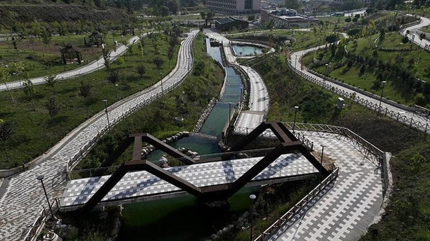 Düzce'de iklim değişikliğine bağlı risk altındaki endemik bitkiler botanik bahçede korunuyor