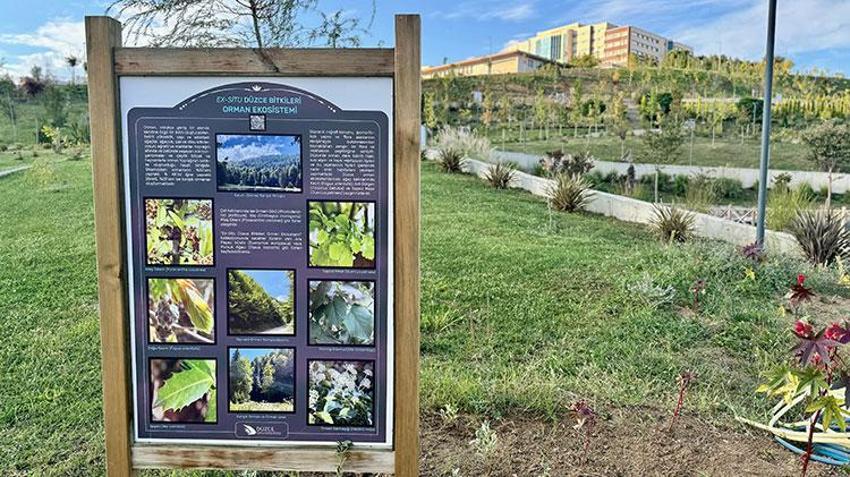 Düzce'de iklim değişikliğine bağlı risk altındaki endemik bitkiler botanik bahçede korunuyor