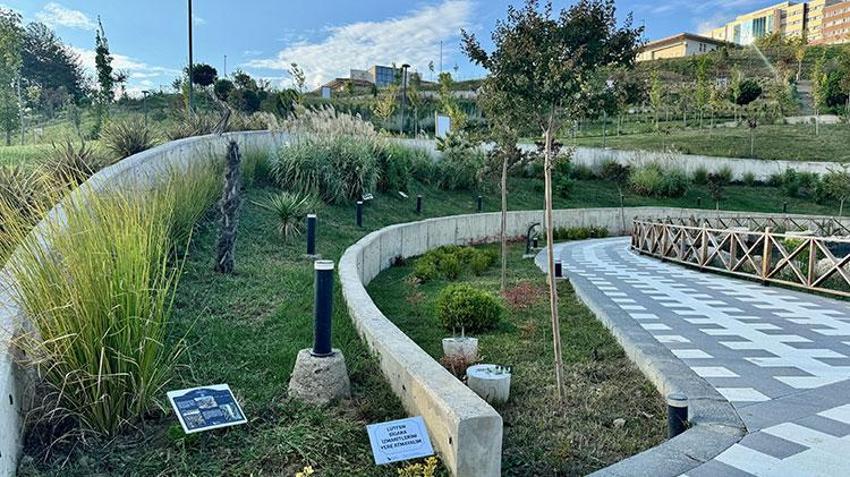 Düzce'de iklim değişikliğine bağlı risk altındaki endemik bitkiler botanik bahçede korunuyor