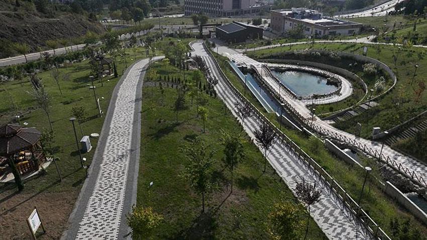 Düzce'de iklim değişikliğine bağlı risk altındaki endemik bitkiler botanik bahçede korunuyor