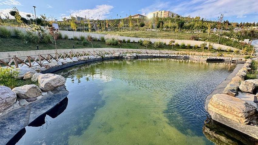 Düzce'de iklim değişikliğine bağlı risk altındaki endemik bitkiler botanik bahçede korunuyor