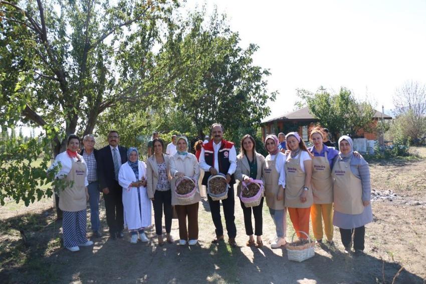 Çorum'da safran üretimi için ilk adım atıldı: Bölgede üretim çeşitliliği artacak