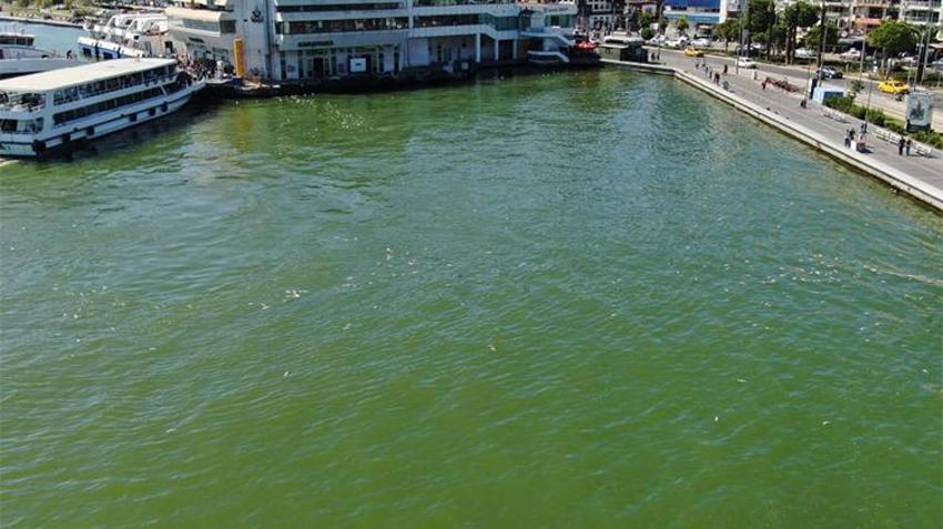 İzmir Körfezi'nde bilindik manzara! 'Deniz kokusu alıyorum diyen yalan söyler'