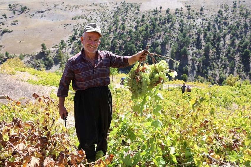 Adana'da meşe külüyle harmanlayıp ekonomiye kazandırıyorlar! 10 Kilogramdan 1 kilogram elde ediyorlar