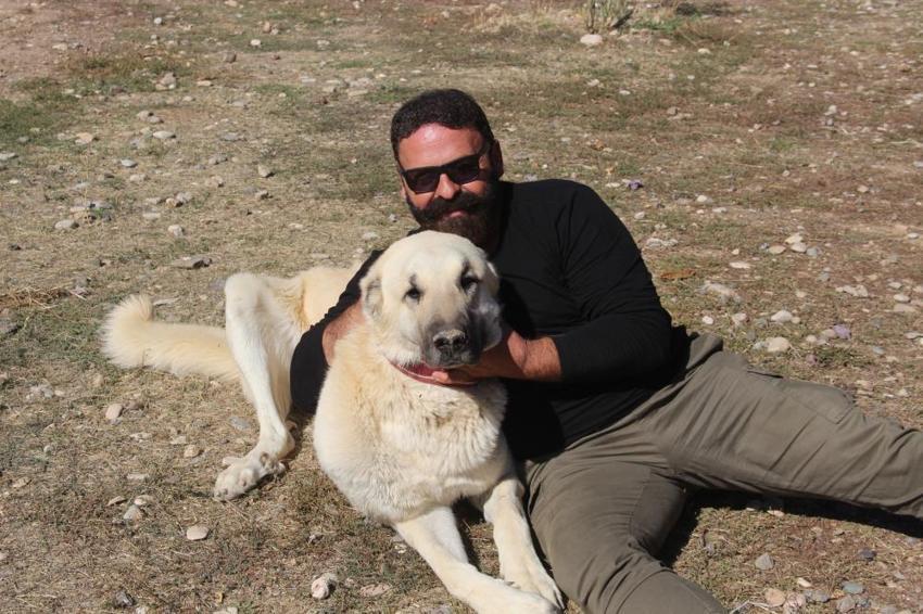 Küresel ısınma Kangalların rengini değiştirdi
