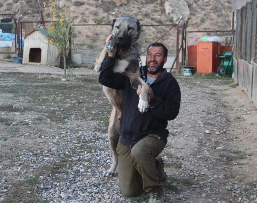 Küresel ısınma Kangalların rengini değiştirdi