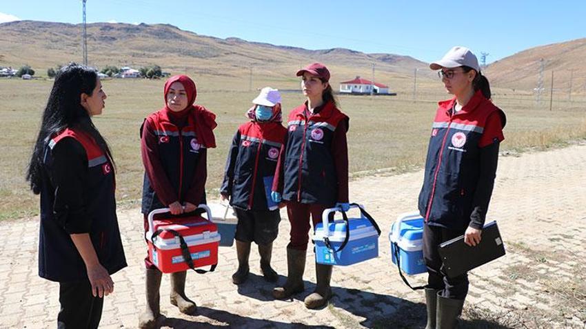 Erzurum kırsalında hayvanların sağlığı kadın veterinerlere emanet: Havaların soğuduğu bugünlerde dağlık bölgelerde görevdeler