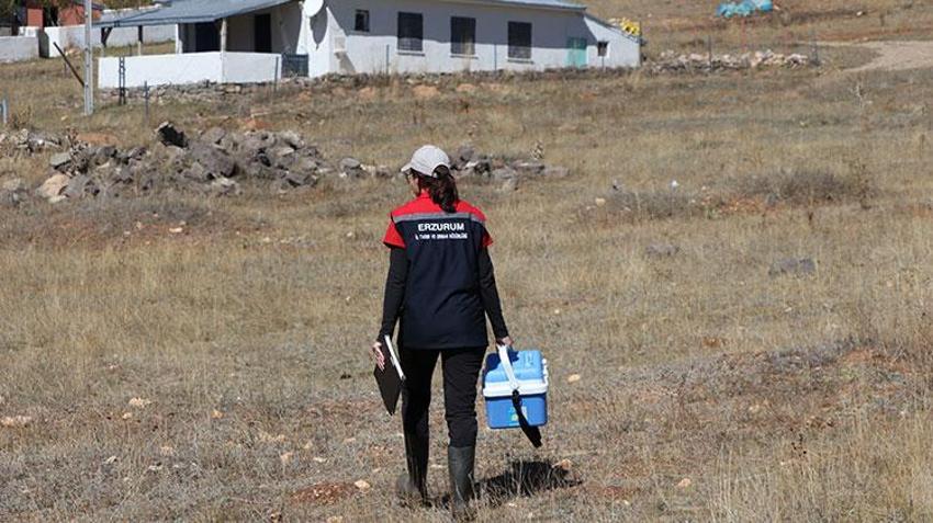 Erzurum kırsalında hayvanların sağlığı kadın veterinerlere emanet: Havaların soğuduğu bugünlerde dağlık bölgelerde görevdeler