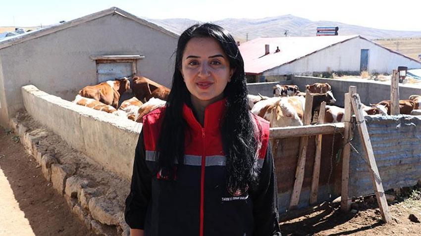 Erzurum kırsalında hayvanların sağlığı kadın veterinerlere emanet: Havaların soğuduğu bugünlerde dağlık bölgelerde görevdeler