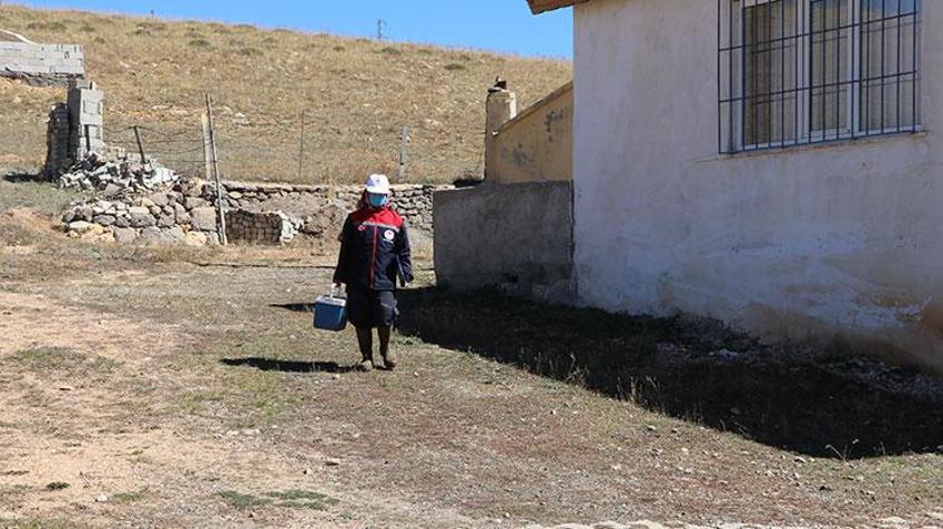 Erzurum kırsalında hayvanların sağlığı kadın veterinerlere emanet: Havaların soğuduğu bugünlerde dağlık bölgelerde görevdeler