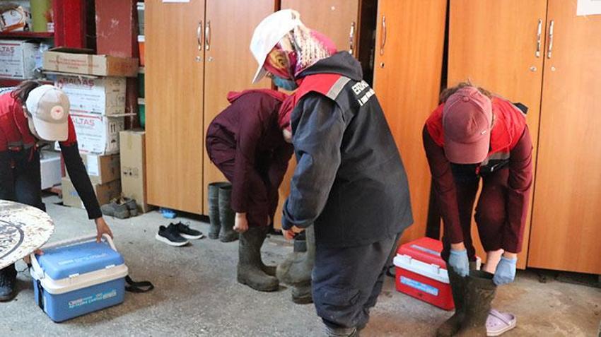 Erzurum kırsalında hayvanların sağlığı kadın veterinerlere emanet: Havaların soğuduğu bugünlerde dağlık bölgelerde görevdeler