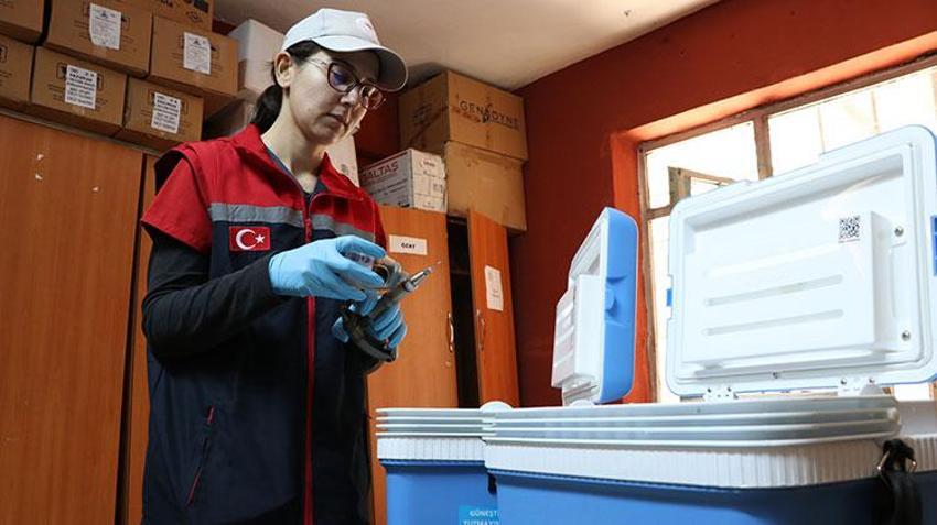 Erzurum kırsalında hayvanların sağlığı kadın veterinerlere emanet: Havaların soğuduğu bugünlerde dağlık bölgelerde görevdeler