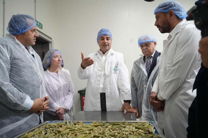 Balıkesir'de çiftçiden 90 TL'ye alıp 41 dolara satıyorlar! Amerika pazarına tepeden girdiler