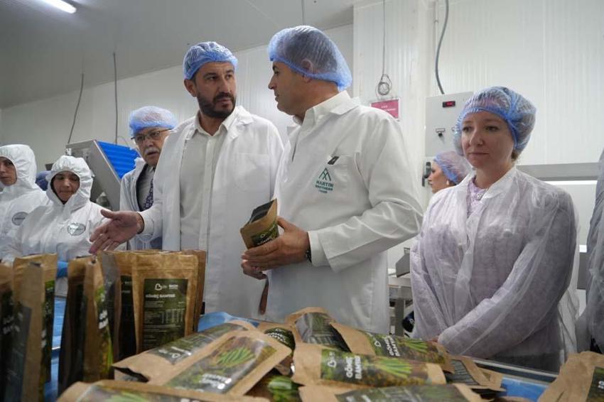 Balıkesir'de çiftçiden 90 TL'ye alıp 41 dolara satıyorlar! Amerika pazarına tepeden girdiler