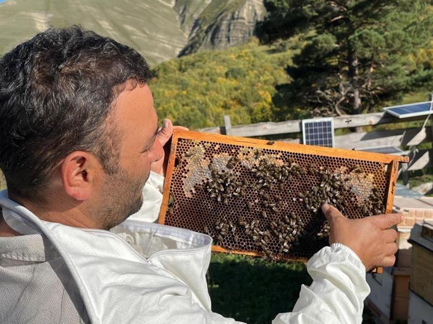 Köylüler ummadıkları sonuçla karşılaştı! Artvin'de keşfedilen bal gelir kapısı oldu