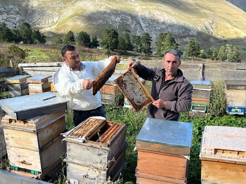Köylüler ummadıkları sonuçla karşılaştı! Artvin'de keşfedilen bal gelir kapısı oldu