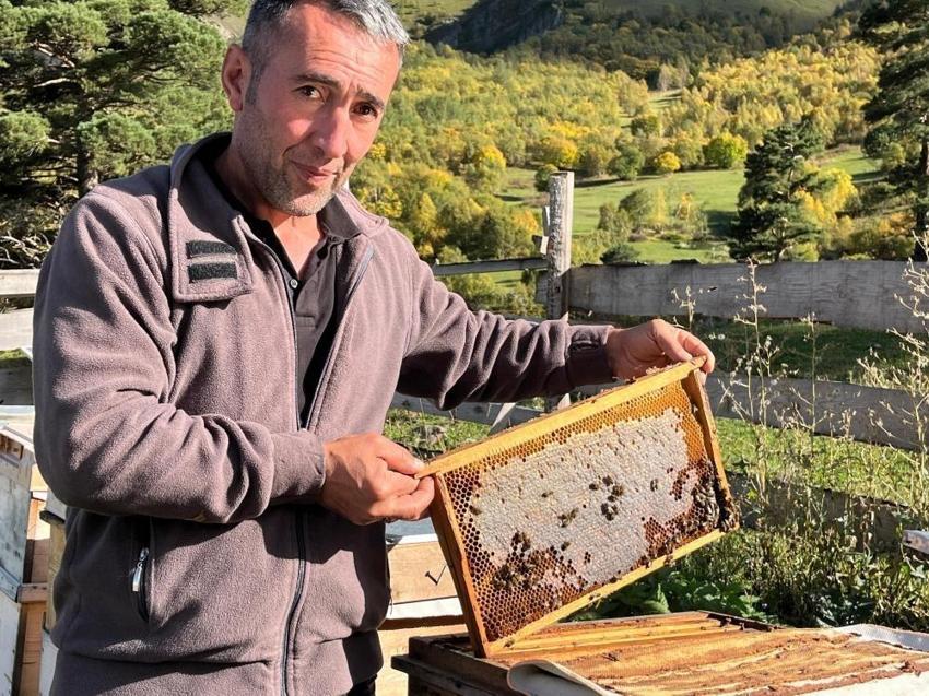 Köylüler ummadıkları sonuçla karşılaştı! Artvin'de keşfedilen bal gelir kapısı oldu