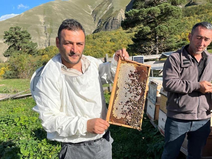 Köylüler ummadıkları sonuçla karşılaştı! Artvin'de keşfedilen bal gelir kapısı oldu