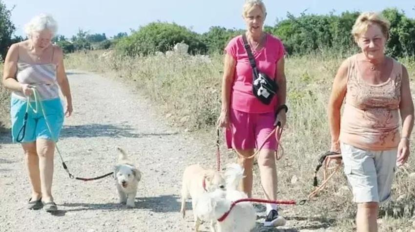 Didim'de sokak köpeklerine yeni hayat! İngiliz çift 200 köpeği tedavi ettirip yurtdışında sahiplendirdi
