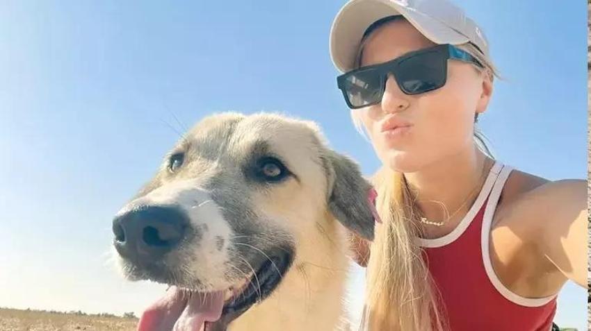 Didim'de sokak köpeklerine yeni hayat! İngiliz çift 200 köpeği tedavi ettirip yurtdışında sahiplendirdi
