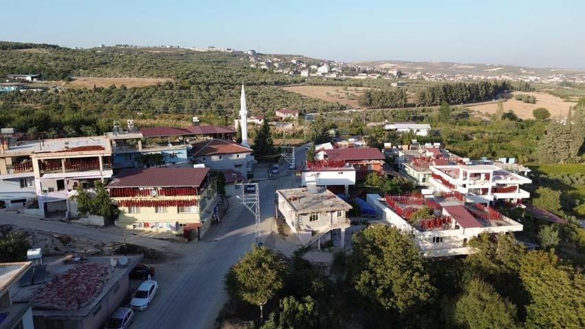 Hatay'da evler kırmızıya büründü! Demeti 500 liradan alıcı buluyor, C vitamini depolarını dolduruyor