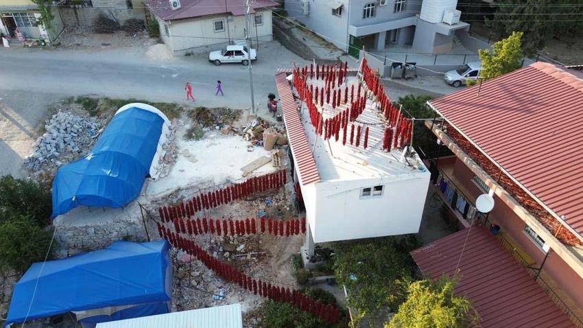 Hatay'da evler kırmızıya büründü! Demeti 500 liradan alıcı buluyor, C vitamini depolarını dolduruyor