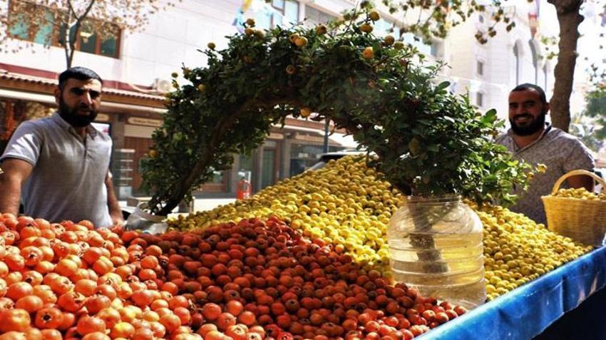 Adana'da tezgahlar Alıç ile doldu taştı! Kalbe çok iyi geliyor, kilosu 250 liradan satılıyor