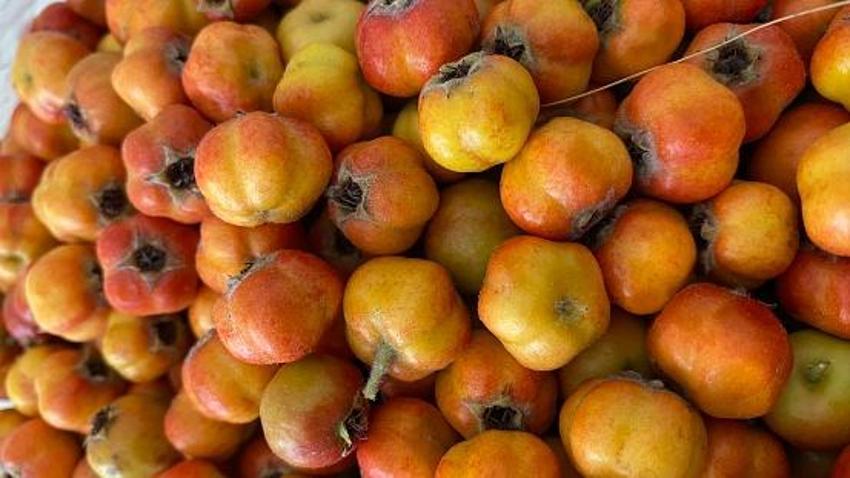 Adana'da tezgahlar Alıç ile doldu taştı! Kalbe çok iyi geliyor, kilosu 250 liradan satılıyor